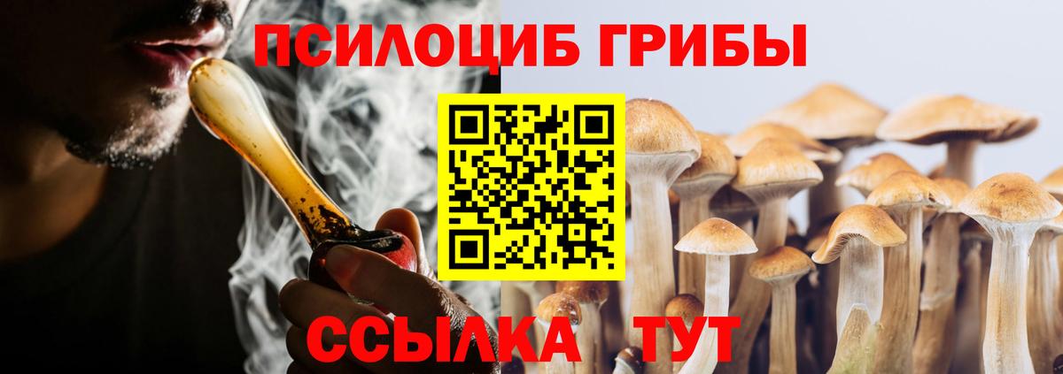 Туймазы  Псилоцибиновые грибы GOLDEN TEACHER  Вход с VPN 